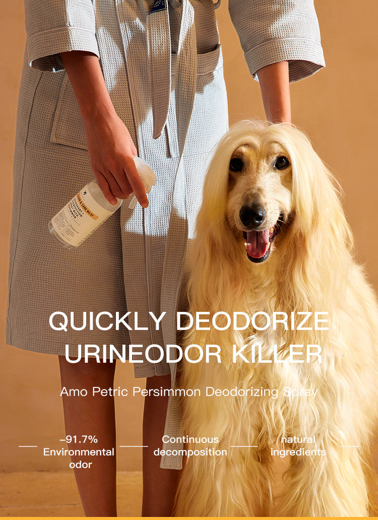 Amo Petric Persimmon Deodorizing & Disinfection Spray