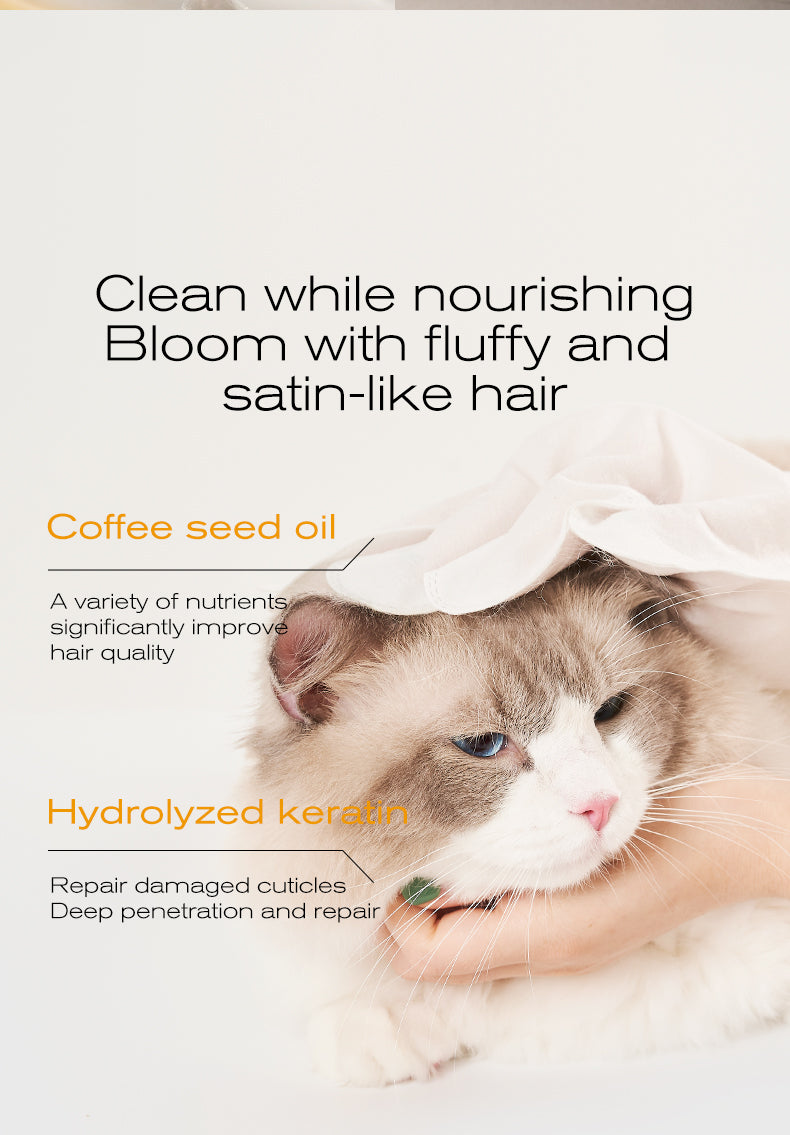 Amo Petric Squalane Leave-In Cleansing Gloves