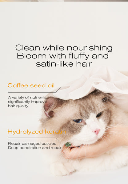 Amo Petric Squalane Leave-In Cleansing Gloves