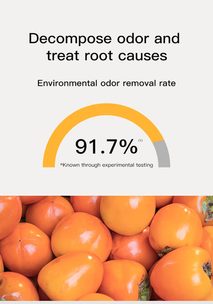 Amo Petric Persimmon Deodorizing & Disinfection Spray