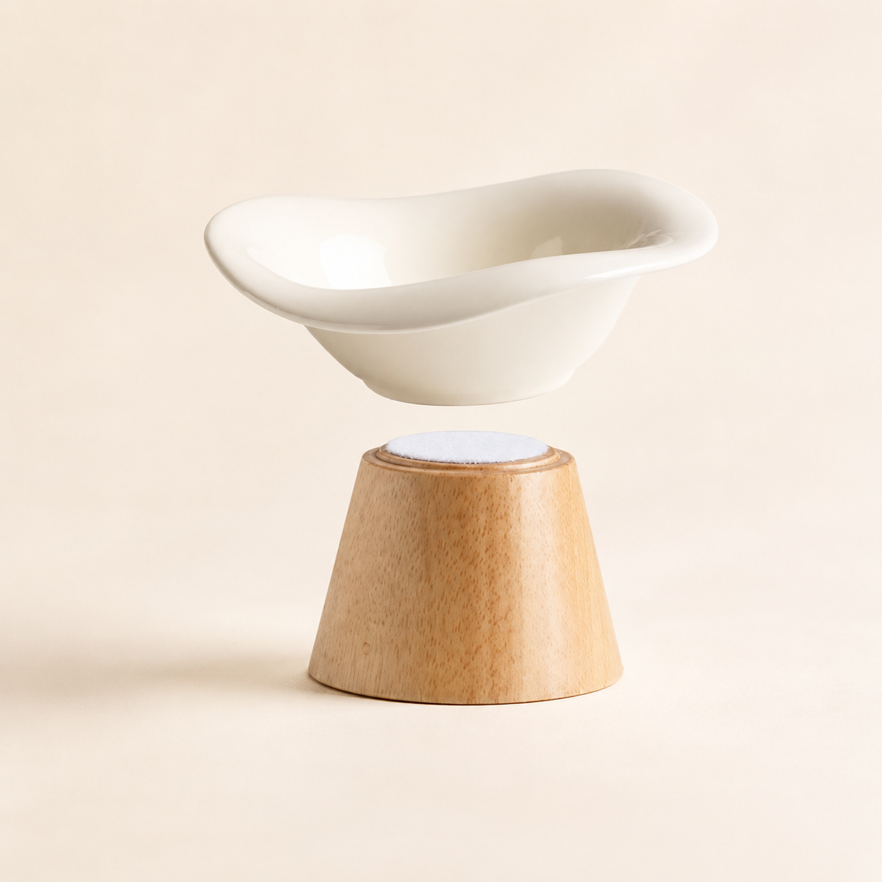 REVE Elevated Ceramic Pet Bowl