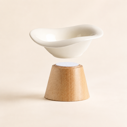 REVE Elevated Ceramic Pet Bowl