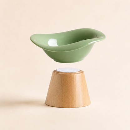 REVE Elevated Ceramic Pet Bowl