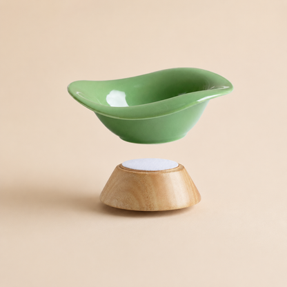 REVE Elevated Ceramic Pet Bowl