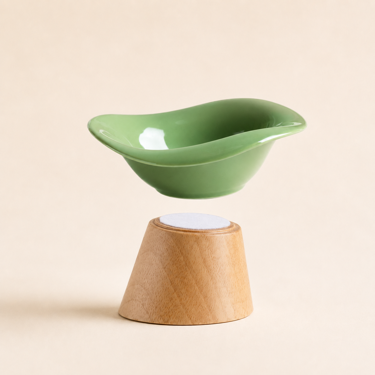 REVE Elevated Ceramic Pet Bowl