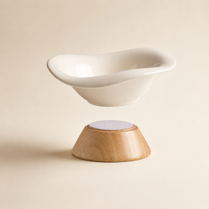 REVE Elevated Ceramic Pet Bowl
