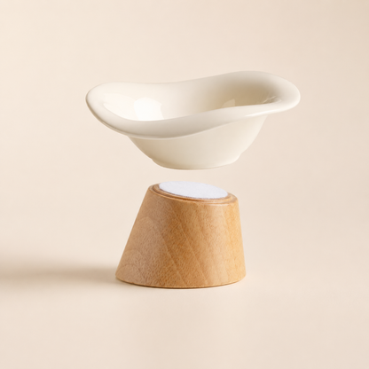 REVE Elevated Ceramic Pet Bowl
